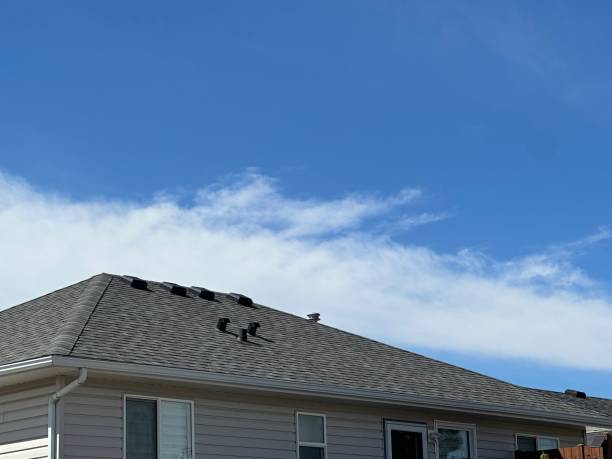 Roof Moss and Algae Removal in Clintwood, VA